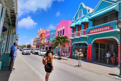 4-Hour Guided Island Tour in Bonaire for Singles and Doubles