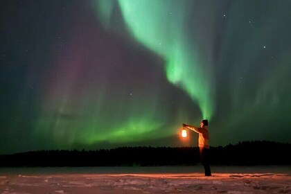 Northern Lights Adventure in the Wild with Campfire Treats