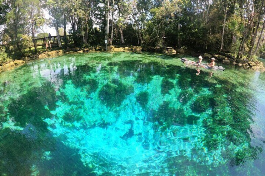 Kayaking inside of Three Sisters Springs