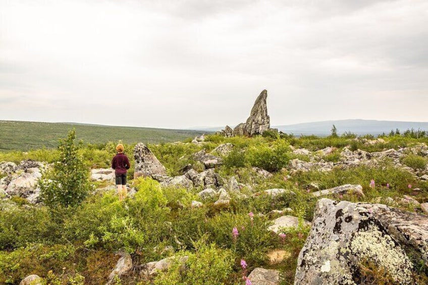 Private Tour Arctic Circle Expedition from Fairbanks