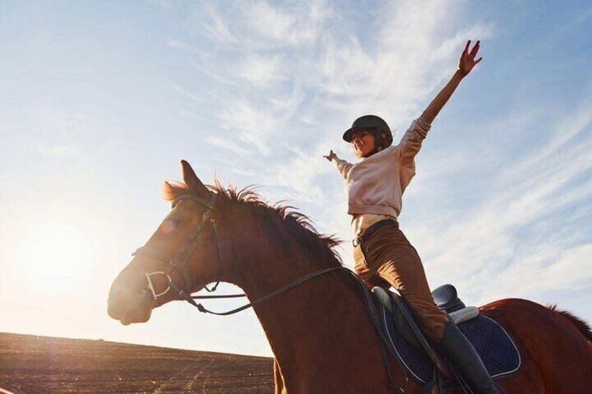 Explore the Desert on a 2-Hour Horse Ride Adventure - Hurghada