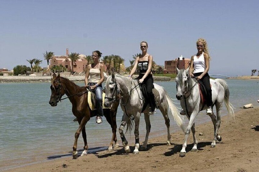 Explore the Desert on a 2-Hour Horse Ride Adventure - Hurghada