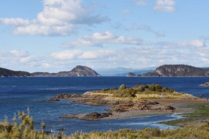 Experience in the Classic National Park in Ushuaia