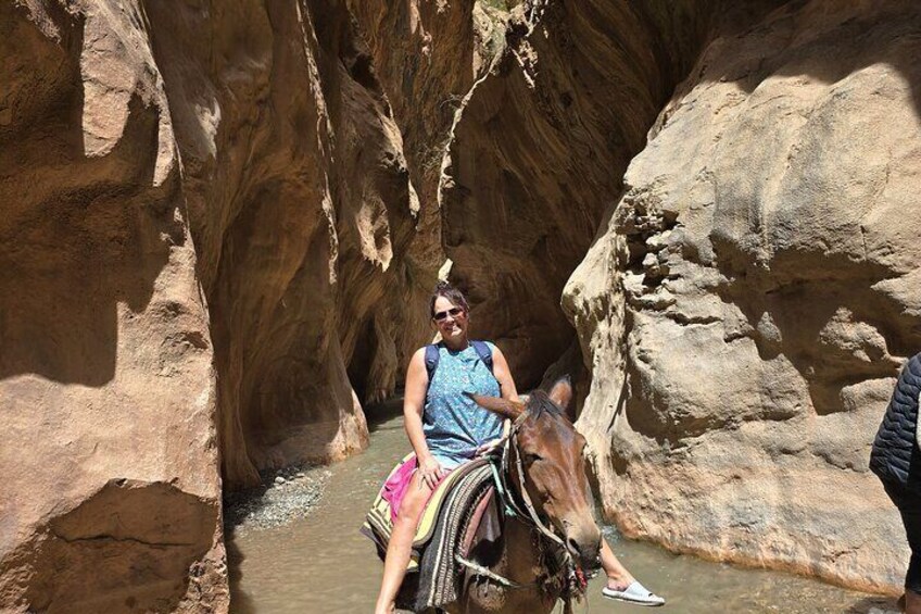 Trek with Mules at Achaabou Gorge