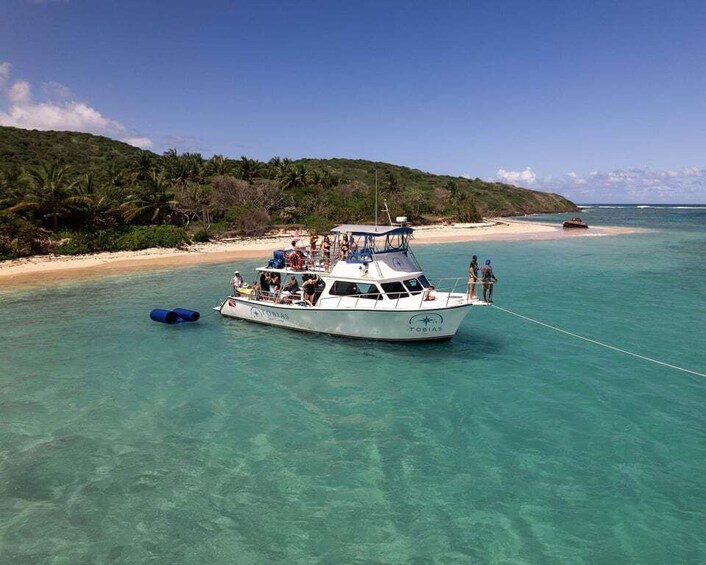 Picture 6 for Activity From Fajardo: Culebra Power Boat Adventure