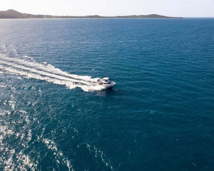 Picture 5 for Activity From Fajardo: Culebra Power Boat Adventure