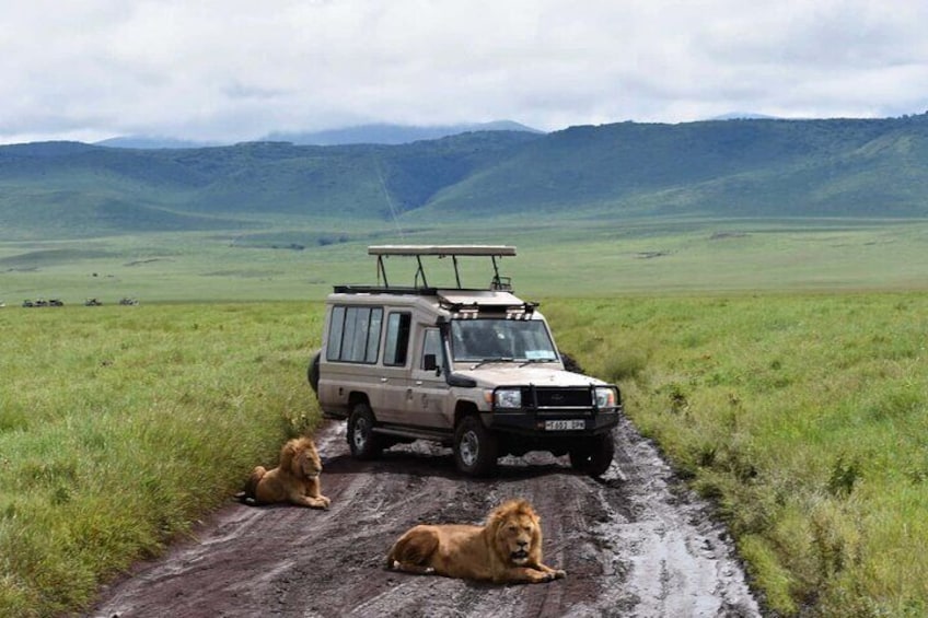 3 Day Private Serengeti National Park Tour from Zanzibar by Plane