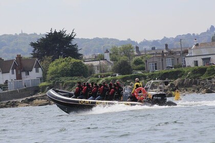 Dublin: History and Wildlife Boat Tour with Live Commentary