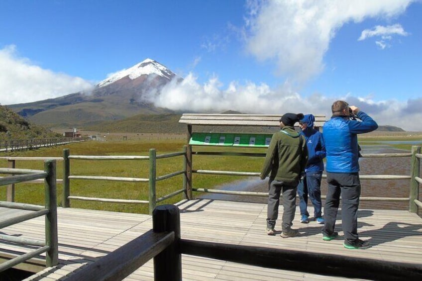 Cotopaxi Tour: Explore the Volcano and Its Natural Surroundings