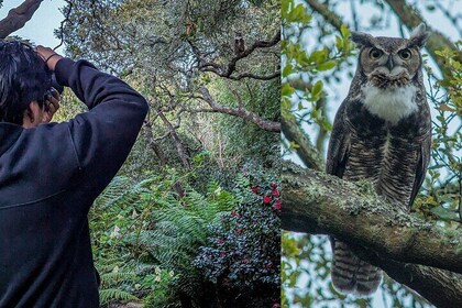Golden Gate Park Twilight Wildlife wandeltocht