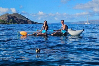 Turtle Town Clear Bottom Kayak and Snorkel Tour (7am-10am)