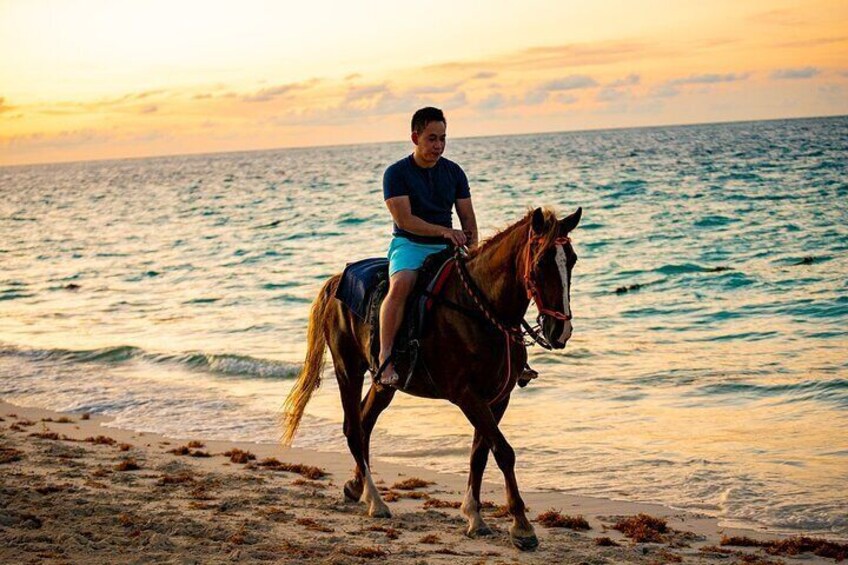 Sunset Group Horseback Ride: Blue Hills Beach & Ocean