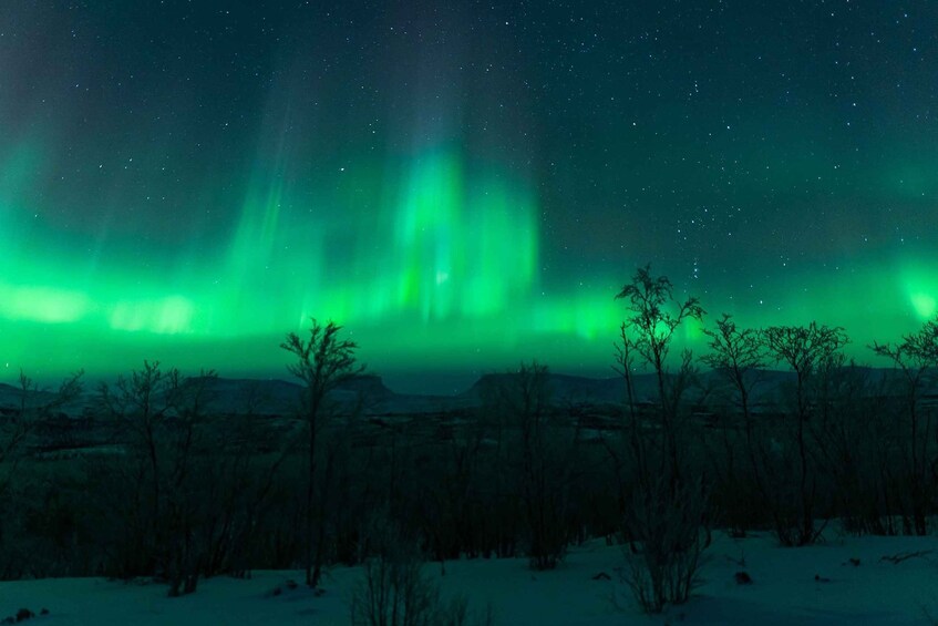 Picture 2 for Activity Kiruna: Northern Lights Tour with Photographer/Guide