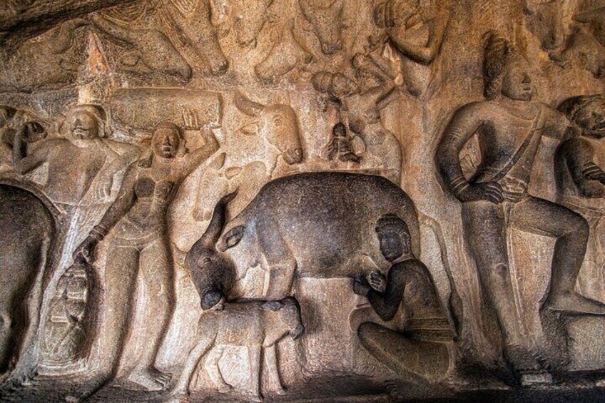 A bass relief on Mahabalipuram: South Indian Art, History and Culture - Private Tour from Chennai