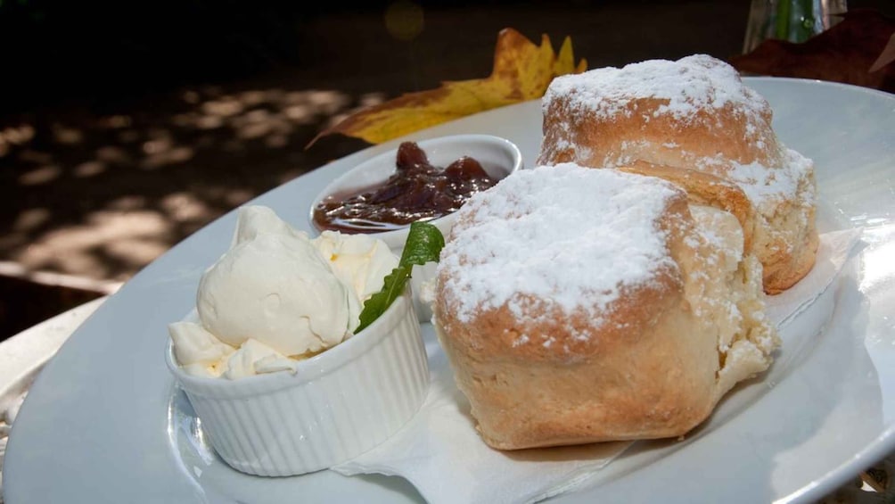 Picture 5 for Activity Gold Coast: Mount Tamborine Kangaroo and Koala Day Tour