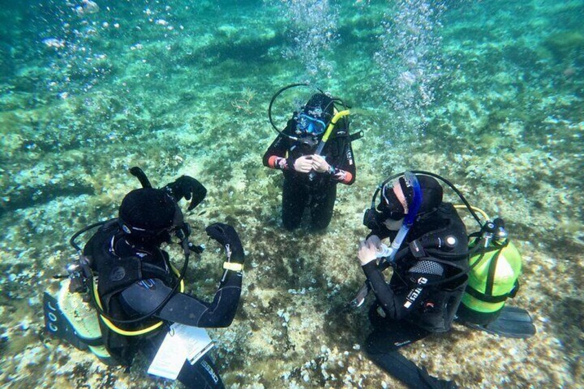 Diving in Cirkewwa Malta