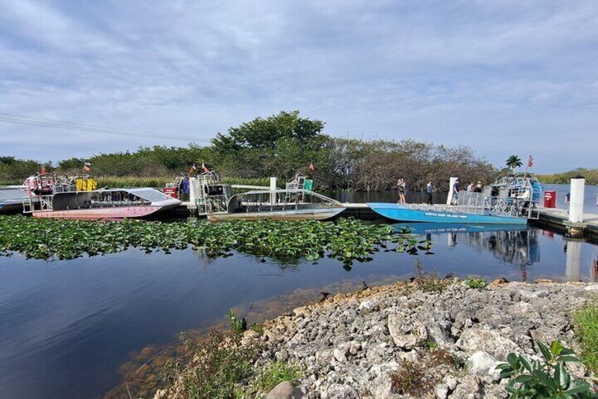 Everglade Wildlife and Airboat Tour from Miami Beach