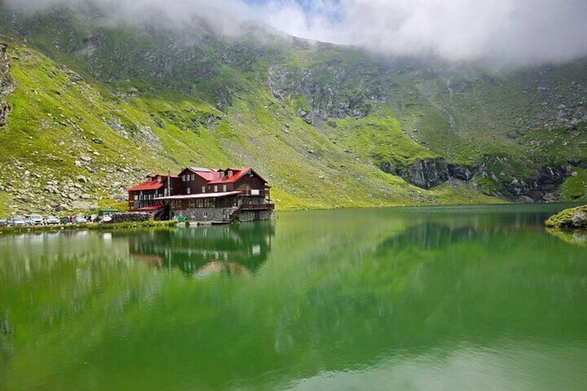 Private Transfagarasan Road and Wild Brown Bears Tour