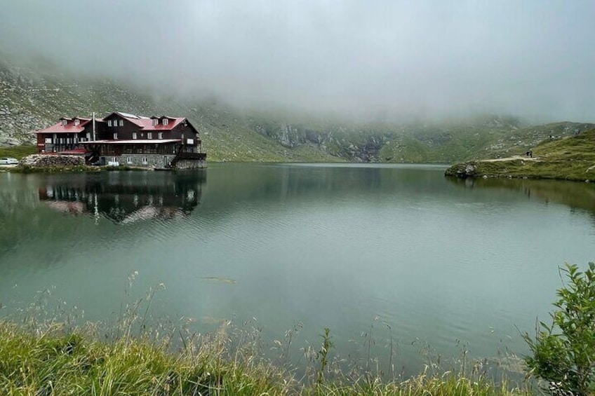 Private Transfagarasan Road and Wild Brown Bears Tour