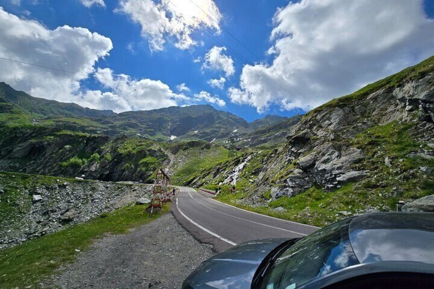 Private Transfagarasan Road and Wild Brown Bears Tour