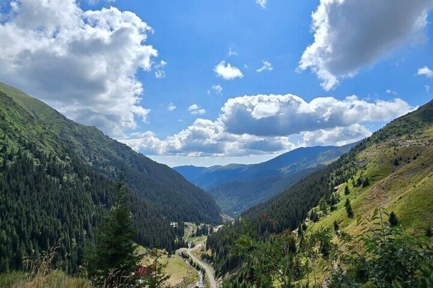 Private Transfagarasan Road and Wild Brown Bears Tour