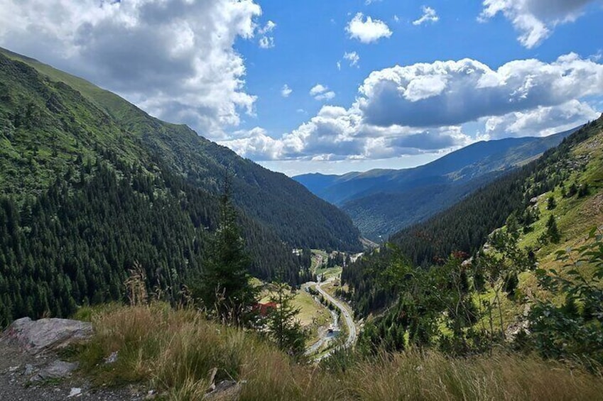 Private Transfagarasan Road and Wild Brown Bears Tour