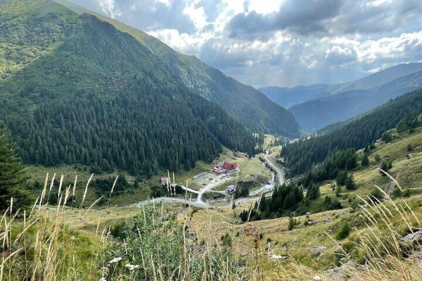 Private Transfagarasan Road and Wild Brown Bears Tour