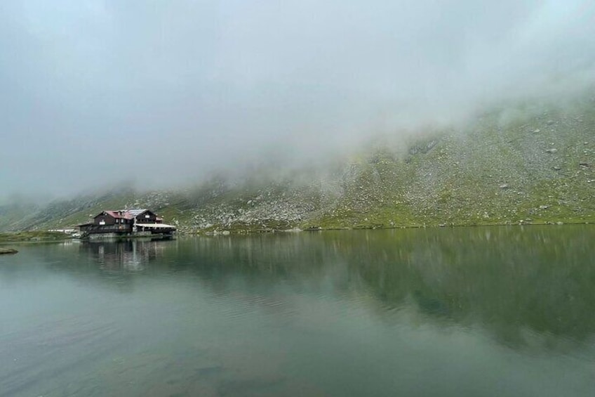 Private Transfagarasan Road and Wild Brown Bears Tour