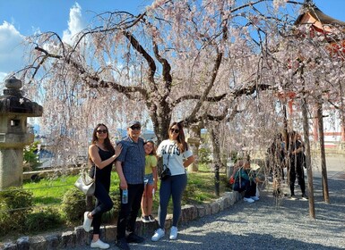 Tur Pribadi ke Tempat Wisata Terbaik di Kyoto dengan Pemandu Berlisensi (4 ...