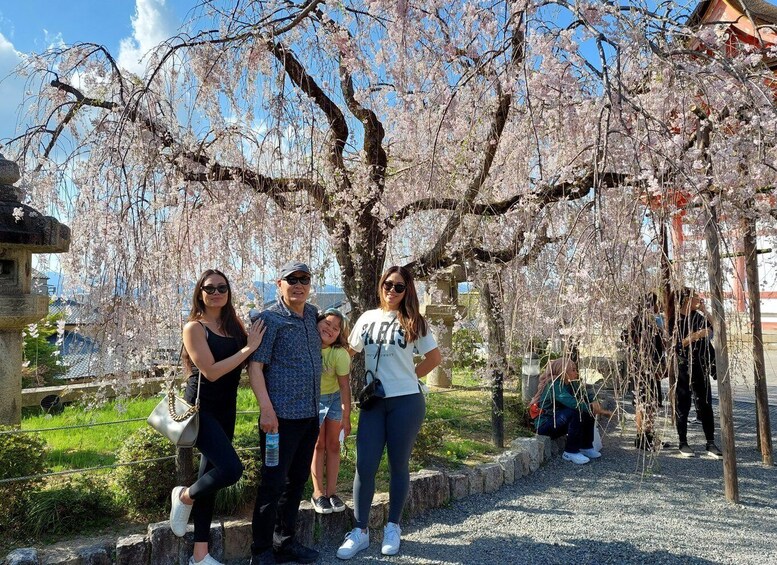 Kyoto Best Spots Private Tour with Licensed Guide (4h/6h)