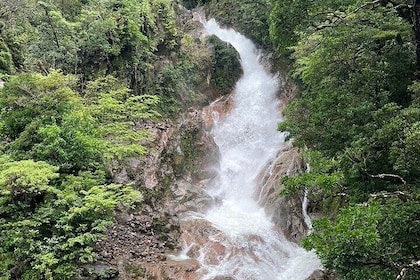 Hanging Bridges & Hot Springs at Miravalles Volcano RainForest