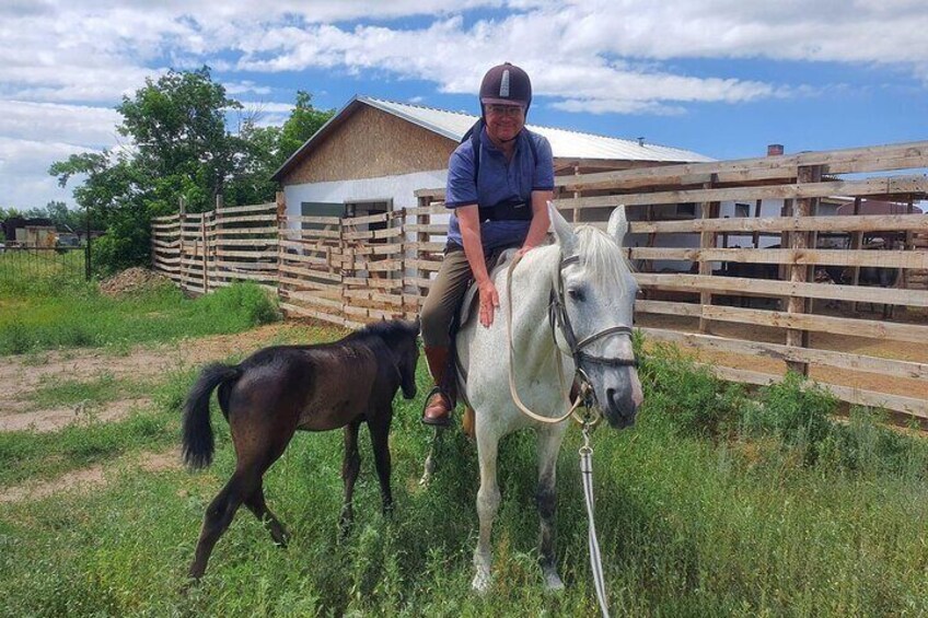 Scenic Multi-day Horseback Exploration around Picturesque Village