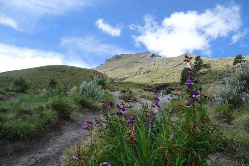 La Malinche Volcano Hike to the Top and Explore Tlaxcala