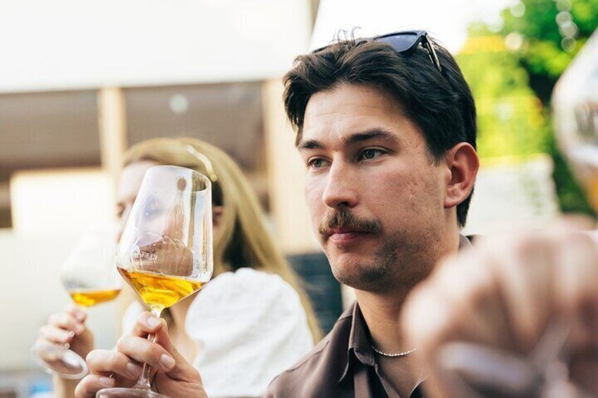 Private Wine Tasting Experience in Ljubljana