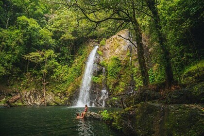 Daintree Sensations