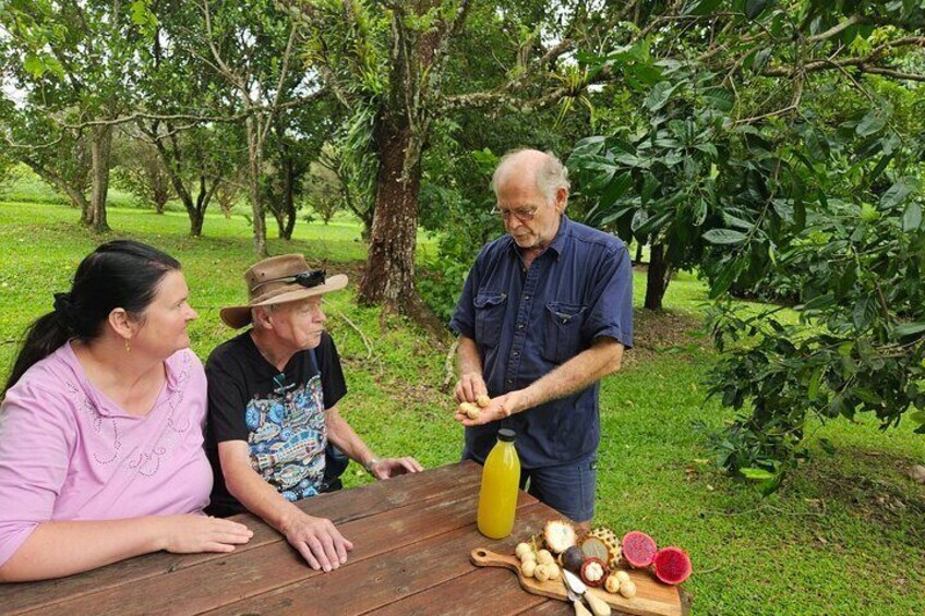 Daintree Sensations 