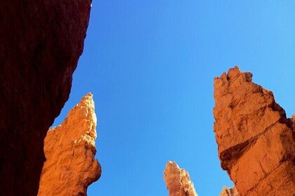 Private Tour in the Stunning Beauty of Zion and Bryce Canyon