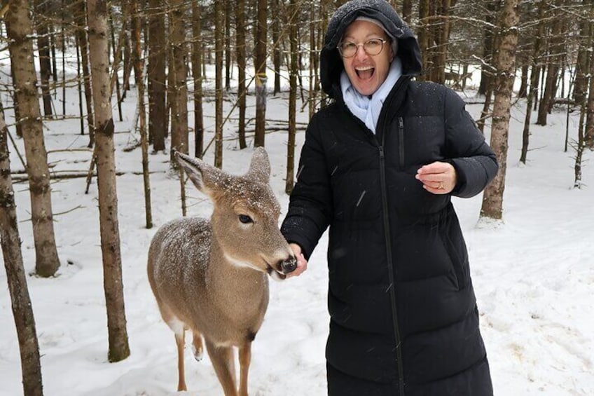 Omega Park: Canadian Wildlife Safari Adventure