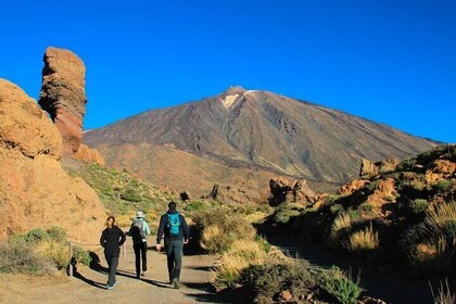 Half-day excursion to Teide National Park