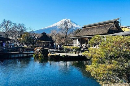 One day Mt. Fuji private tour with English speaking Driver