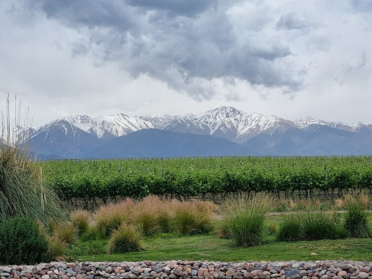 3-Day Mendoza Enchanted Vine Retreat With Optional Airfare