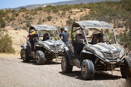 Rock & Sand 3 Hour Private Buggy Tour at the Beach and Mountains