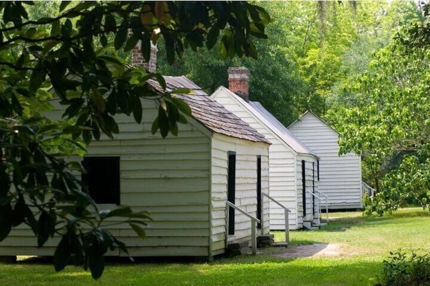 Half Day Magnolia Plantation Tour with Transportation