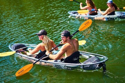 Crystal Kayak Tour at Lady Bird Lake