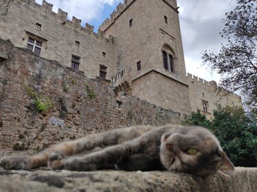 Ciudad medieval de Rodas: Recorrido en audio por el casco antiguo