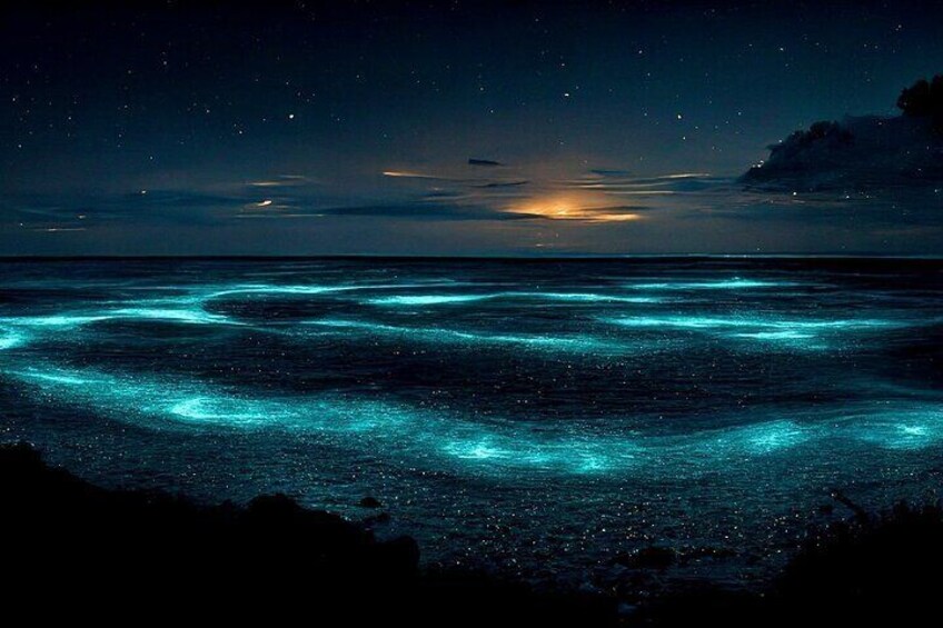 Grand Cayman Bioluminescence Adventure