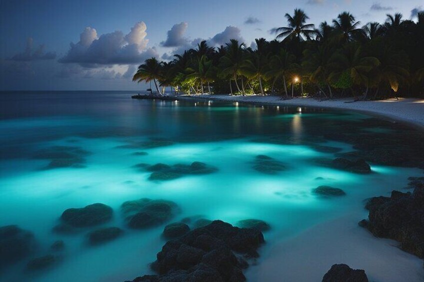 Grand Cayman Bioluminescence Adventure