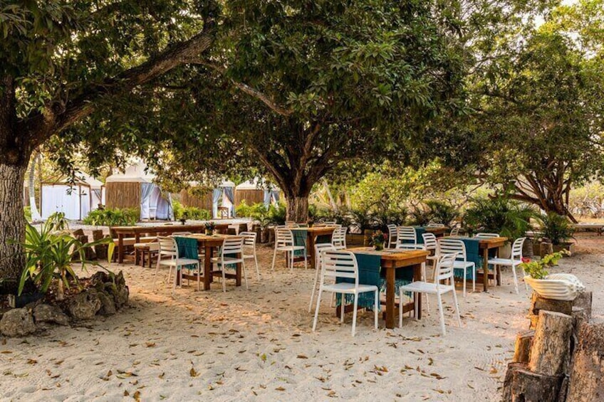 Outdoor lunch