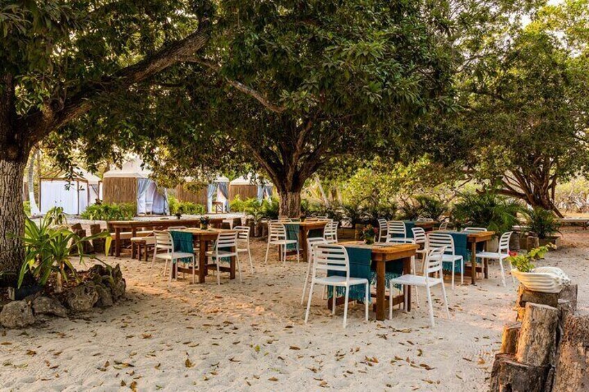 Outdoor lunch