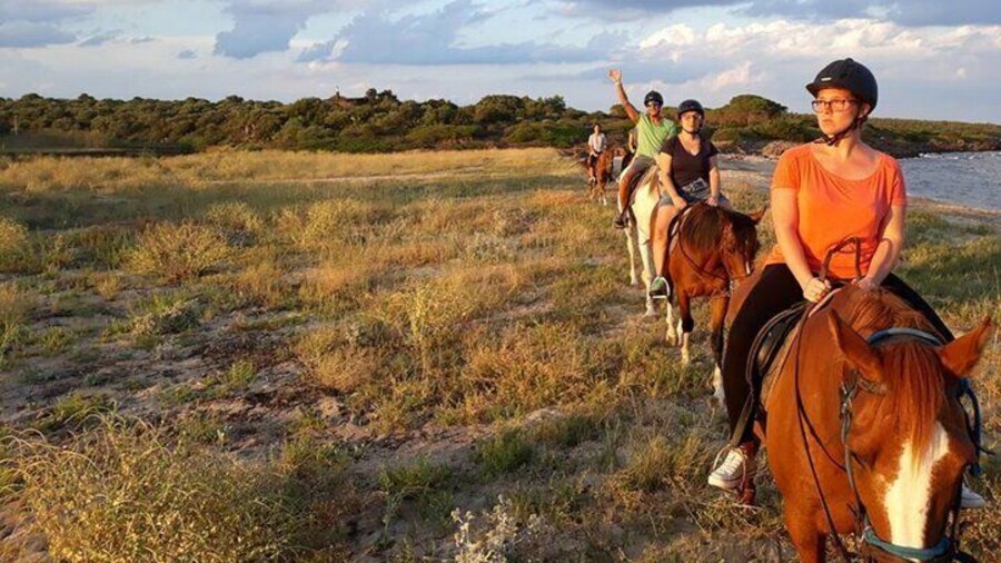 Horse Riding to Beach in Orosei